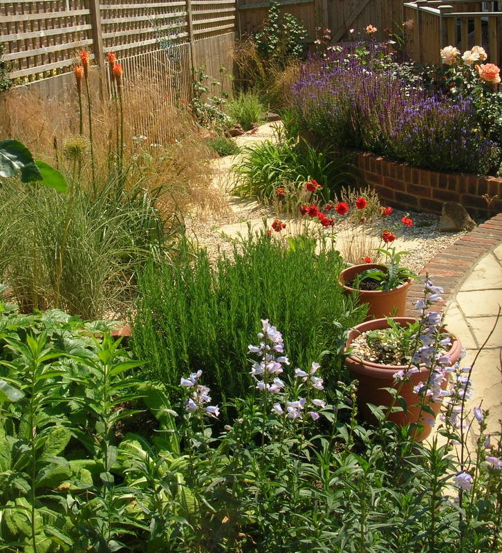 Пример оригинального дизайна: маленький солнечный, летний участок и сад на боковом дворе с садовой дорожкой или калиткой, хорошей освещенностью и покрытием из гравия для на участке и в саду