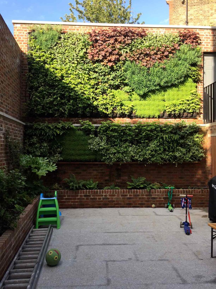 Aménagement d'un petit jardin contemporain l'été avec une exposition partiellement ombragée.