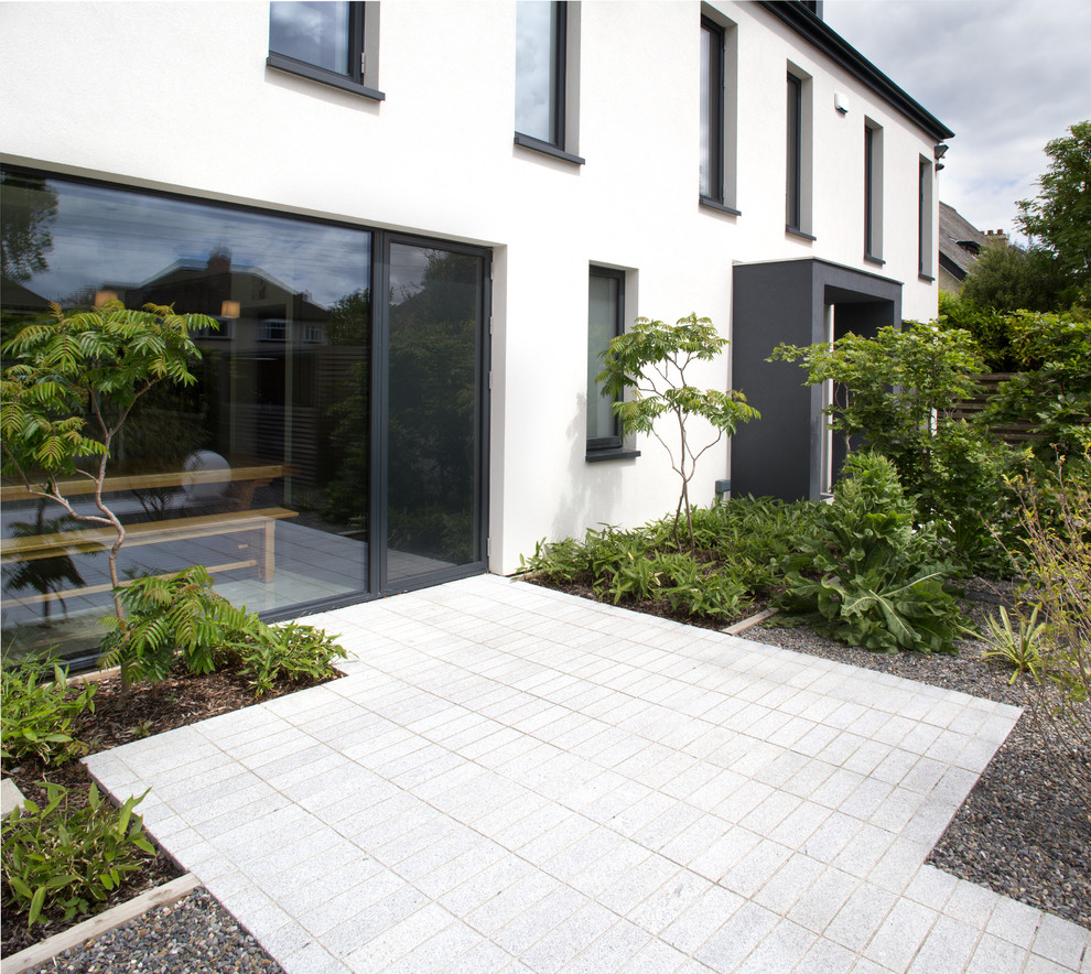 Esempio di un giardino formale minimal esposto a mezz'ombra di medie dimensioni e in cortile in estate con pavimentazioni in cemento