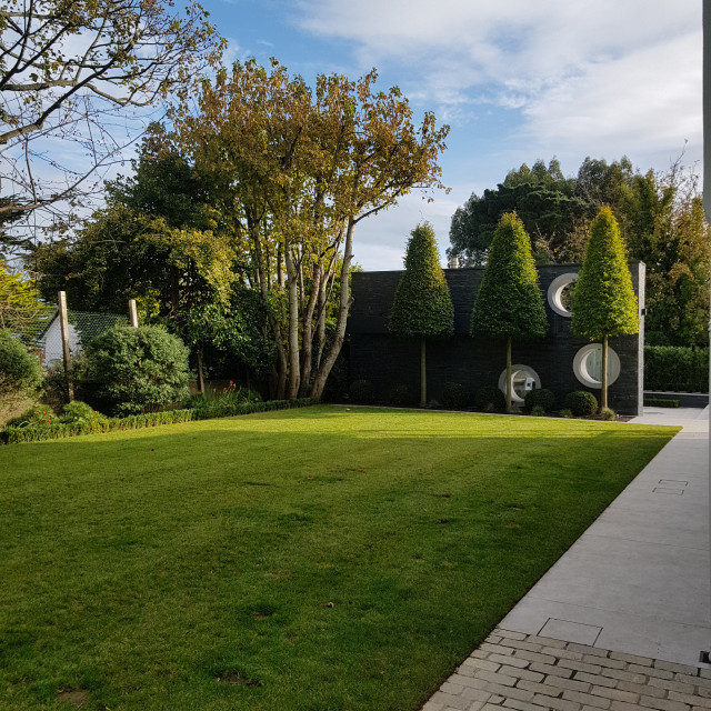 Greystones Garden Contemporary Garden Dublin by Darragh