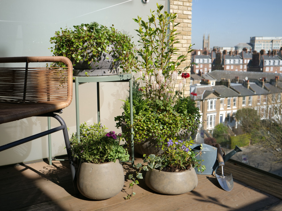Idee per un piccolo giardino design in ombra sul tetto con un giardino in vaso e pedane