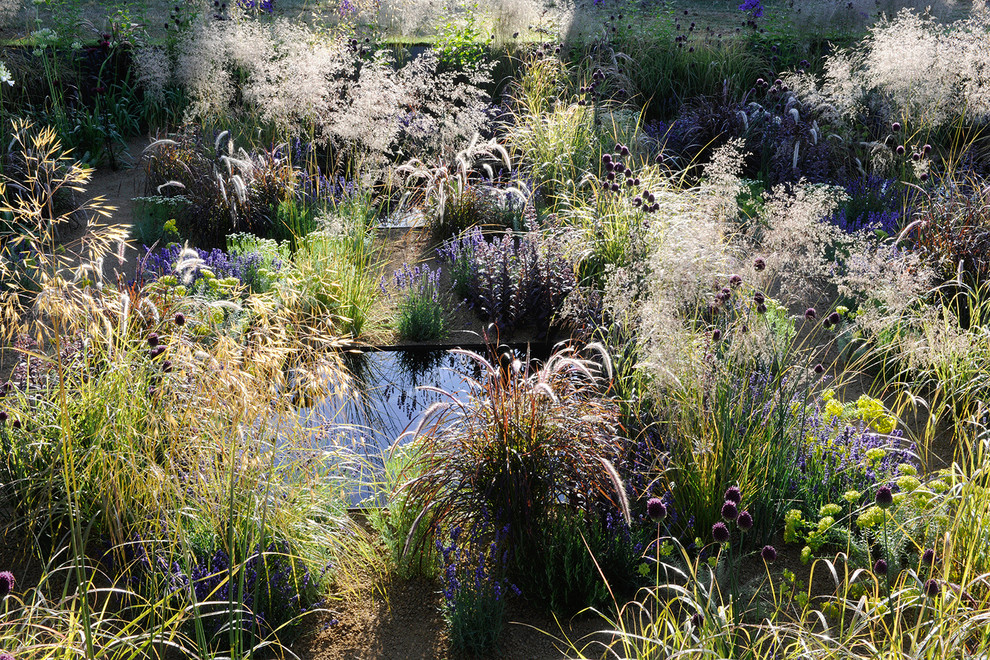 Kleiner Mediterraner Garten im Sommer mit direkter Sonneneinstrahlung und Wüstengarten in London
