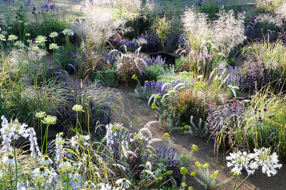 Idee per un piccolo giardino mediterraneo esposto in pieno sole in cortile in estate con ghiaia