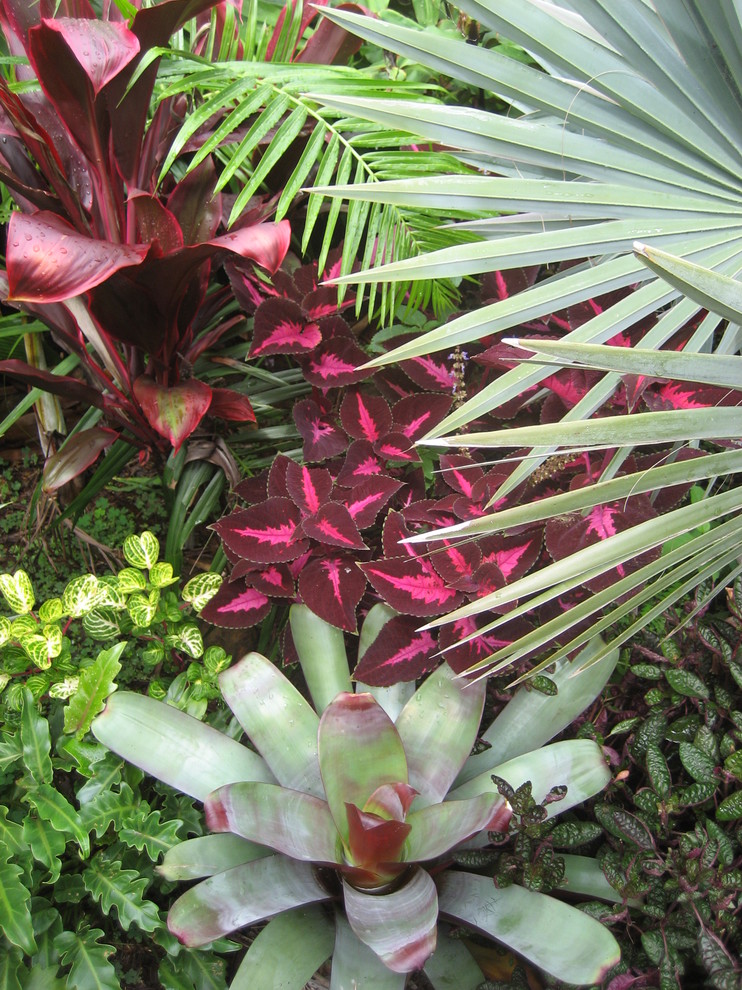 Bild på en mellanstor tropisk trädgård i delvis sol längs med huset