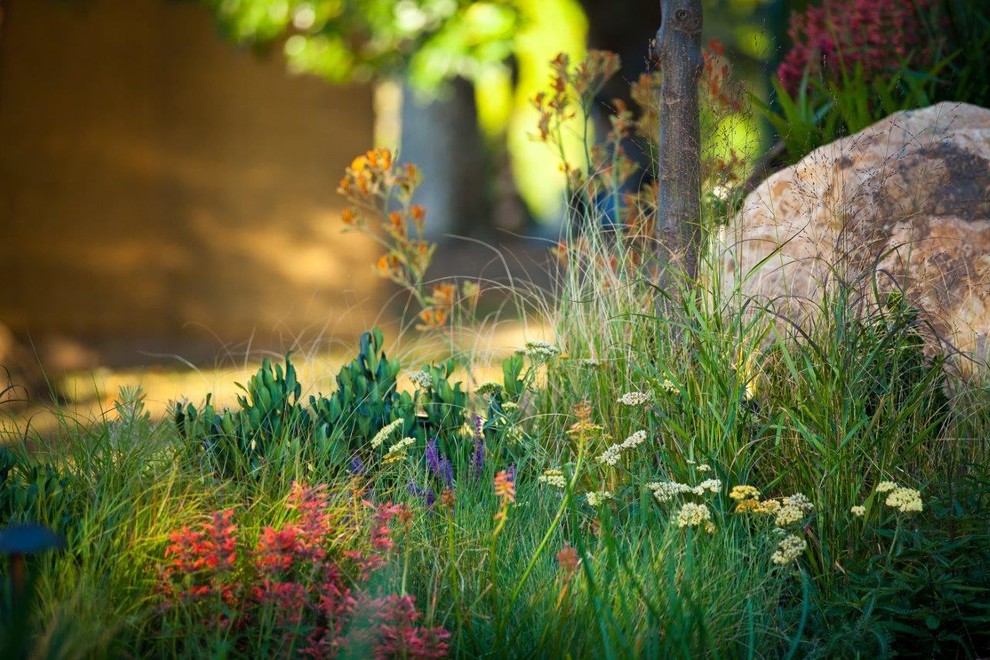 На фото: засухоустойчивый сад в стиле фьюжн с
