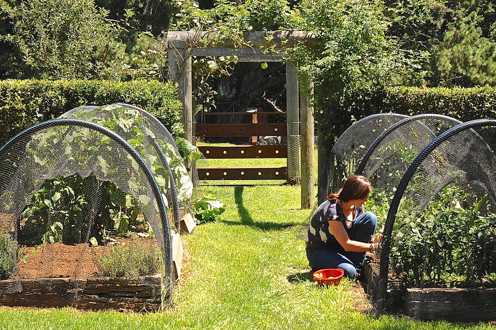Design ideas for a farmhouse full sun vegetable garden landscape in Adelaide.