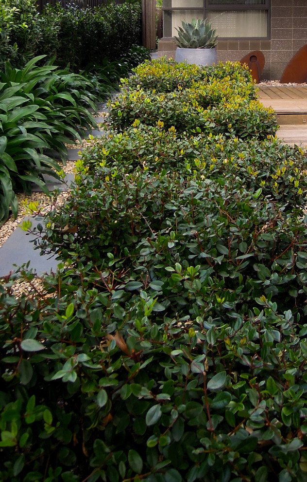 Großer, Halbschattiger Moderner Garten mit Natursteinplatten in Melbourne