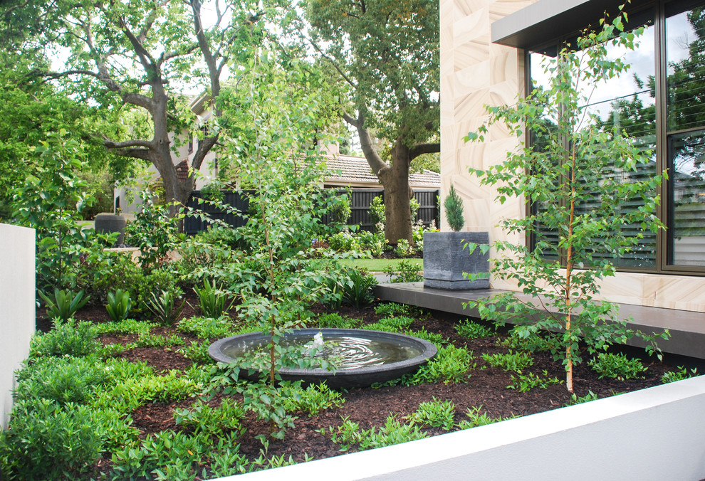 Mittelgroßer, Halbschattiger Moderner Garten hinter dem Haus mit Natursteinplatten in Melbourne