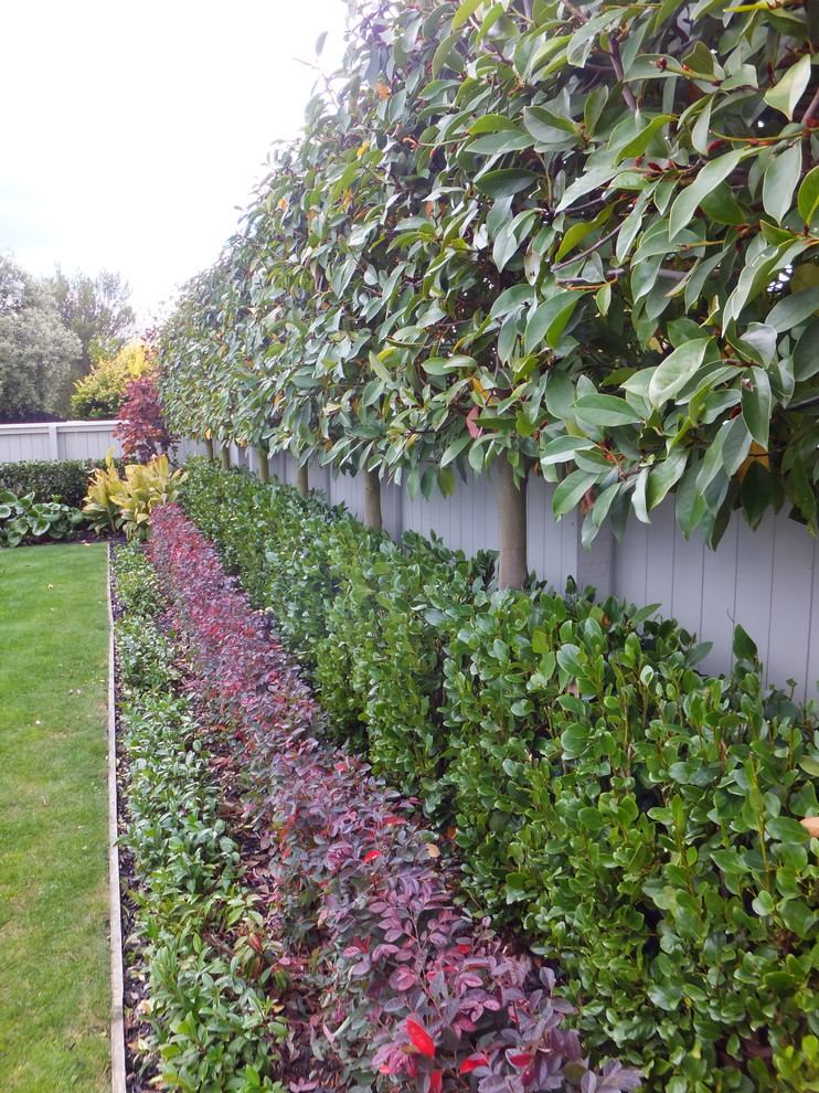 Geometrischer, Mittelgroßer, Halbschattiger Klassischer Garten im Frühling mit Betonboden in Christchurch