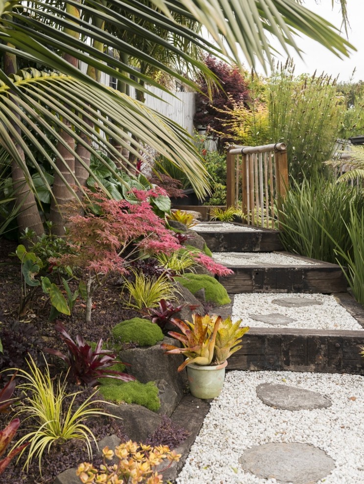 Photo of a world-inspired garden in Auckland.