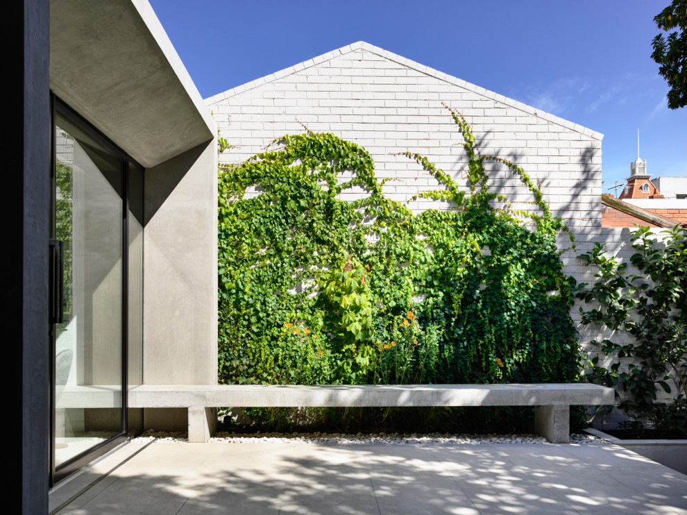 Photo of a contemporary back formal partial sun garden in Melbourne.