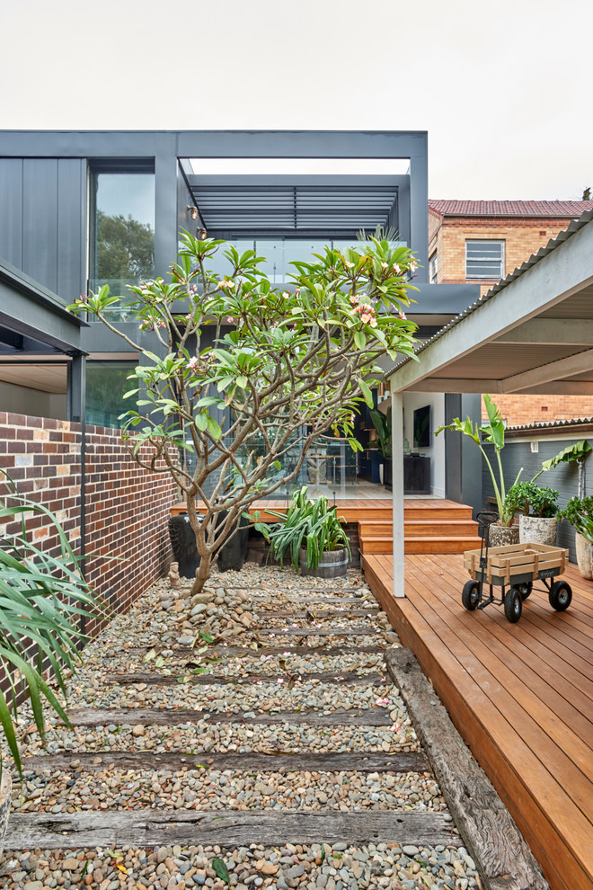 Moderner Garten hinter dem Haus mit direkter Sonneneinstrahlung und Dielen in Sydney