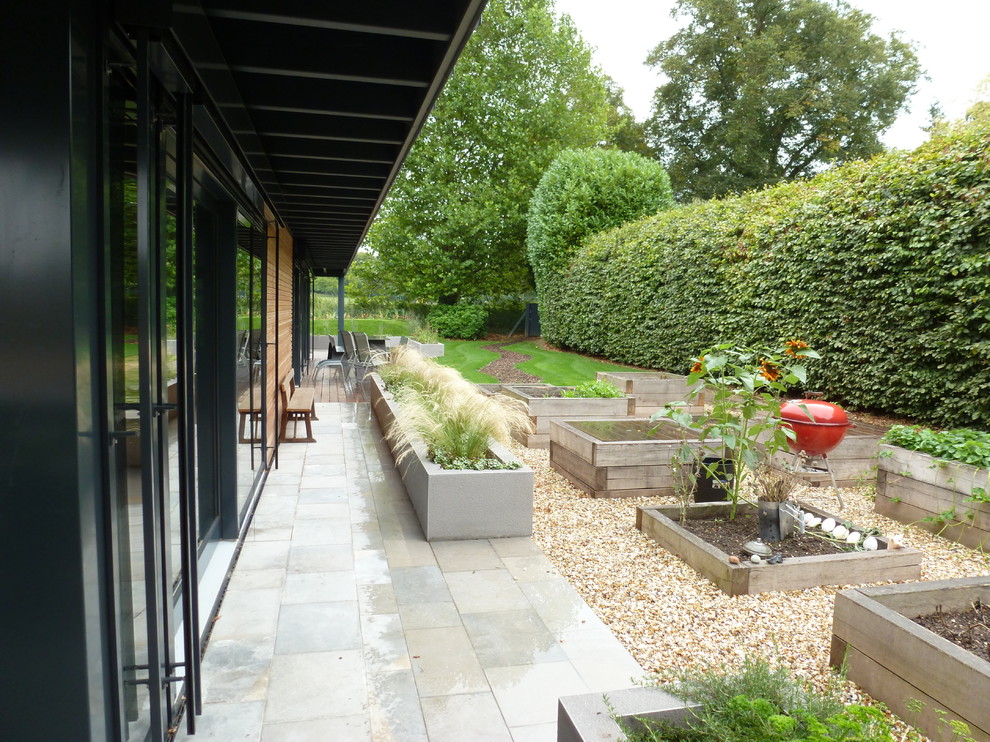 Contemporary back garden in Hampshire with gravel.