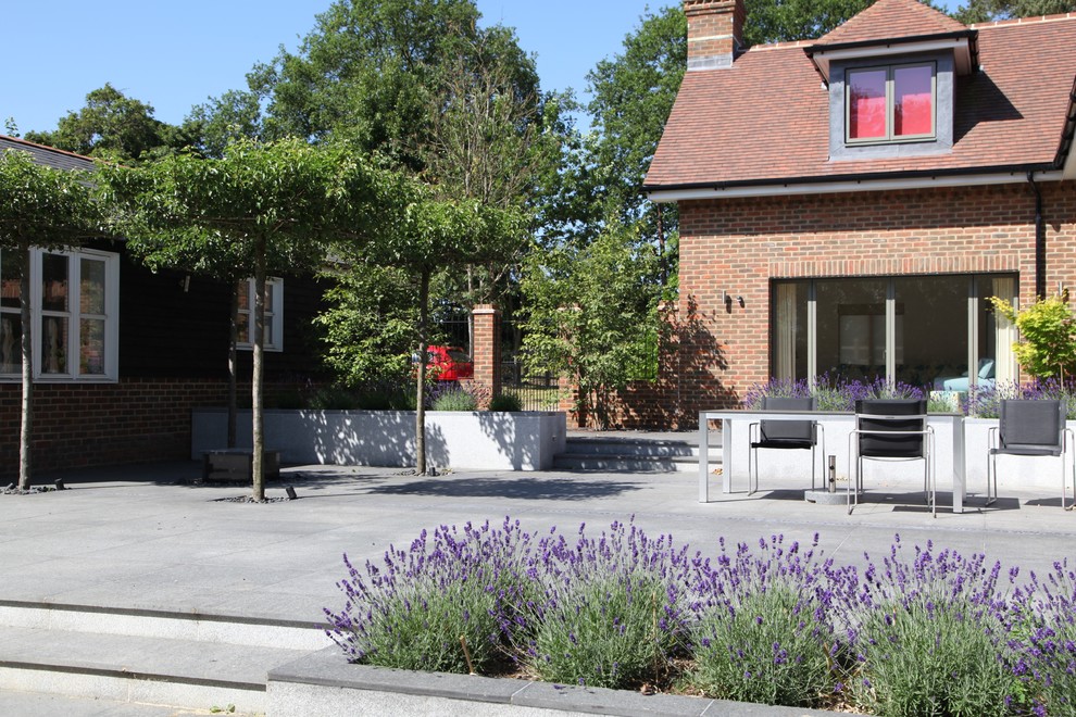 Aménagement d'un jardin moderne.