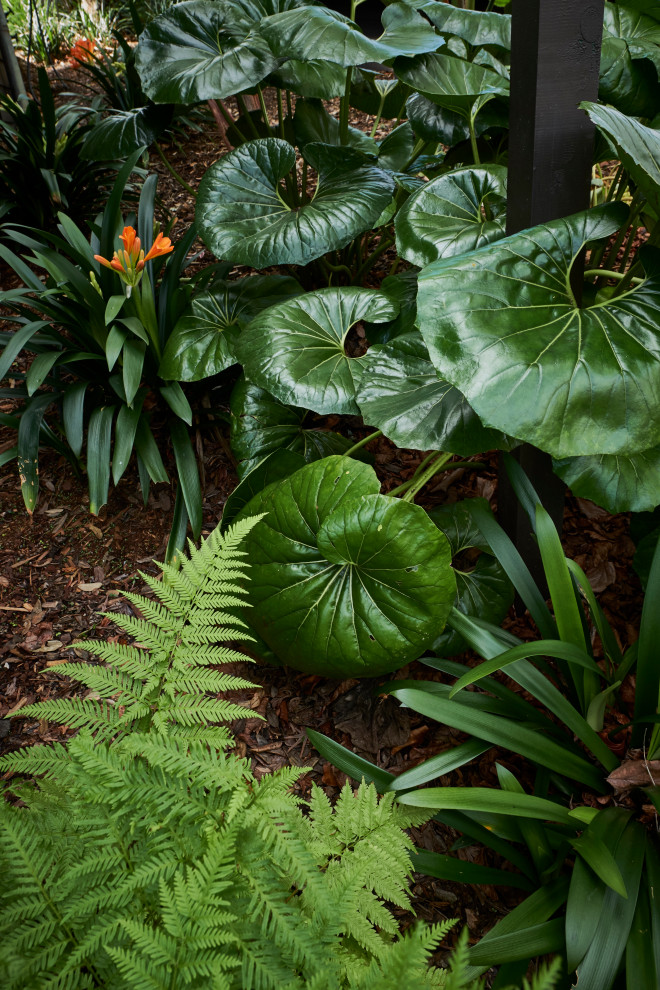 Immagine di un grande privacy in giardino contemporaneo esposto a mezz'ombra dietro casa con pedane