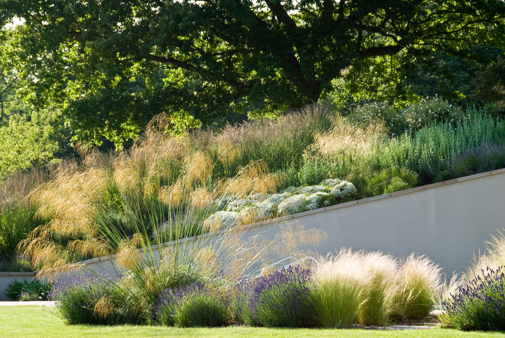 Idee per un grande giardino xeriscape design esposto in pieno sole nel cortile laterale in estate con un muro di contenimento