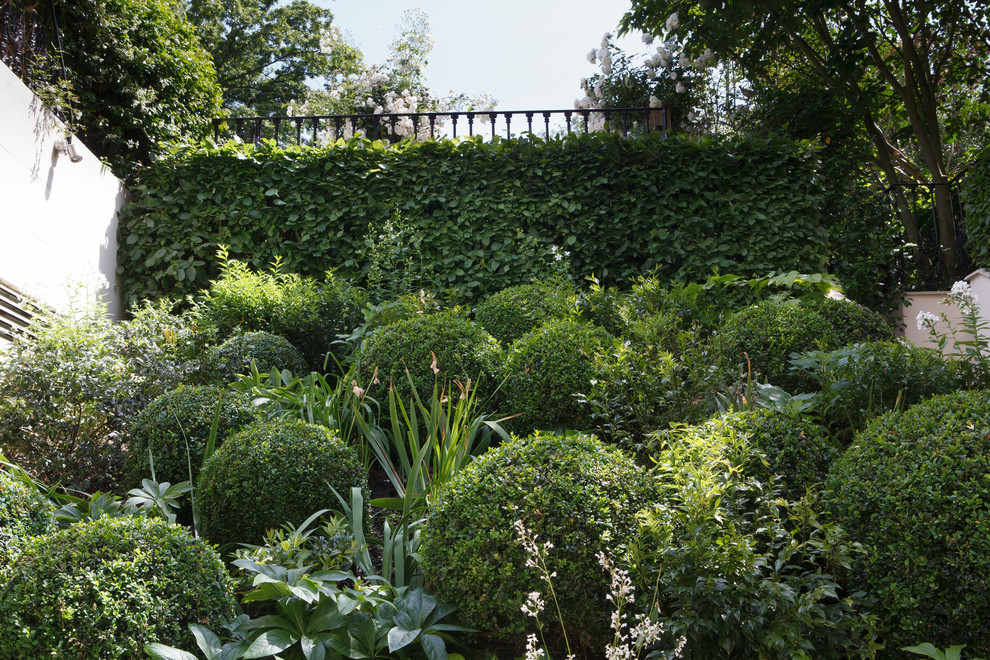 Cette image montre un jardin traditionnel de taille moyenne et l'été avec une exposition ensoleillée et des pavés en pierre naturelle.