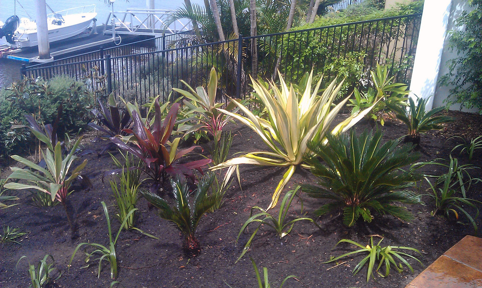 Inspiration for a tropical partial sun hillside mulch formal garden in Gold Coast - Tweed.
