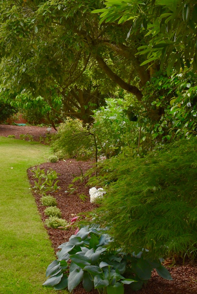ウェリントンにあるお手頃価格の広いトラディショナルスタイルのおしゃれな裏庭 (半日向) の写真