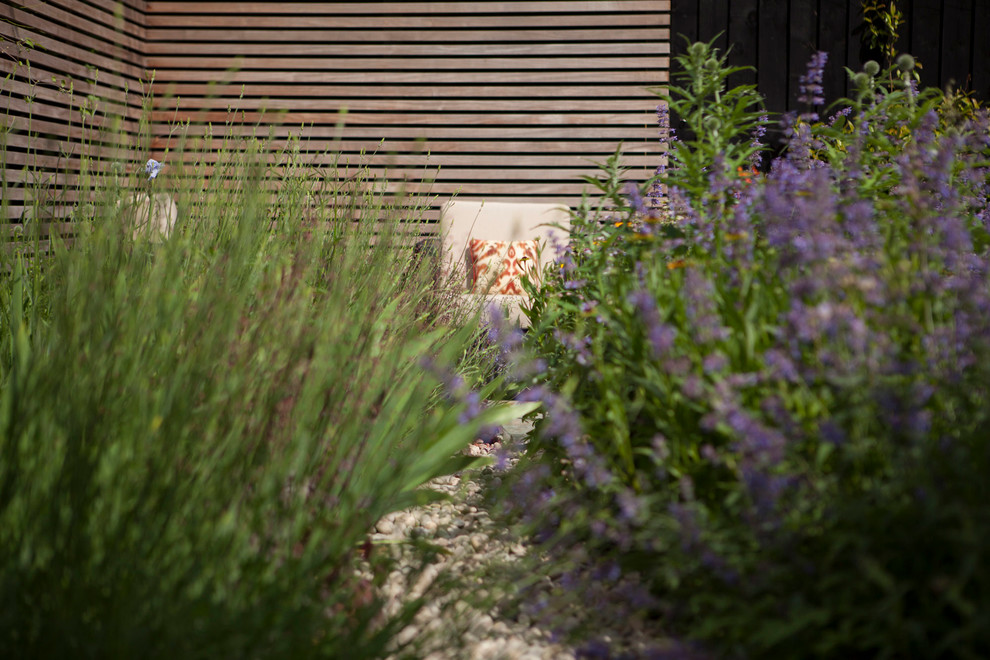 ロンドンにあるコンテンポラリースタイルのおしゃれな庭 (デッキ材舗装) の写真