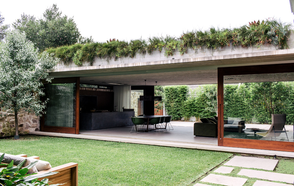 Ispirazione per un ampio giardino minimalista esposto in pieno sole sul tetto con un muro di contenimento