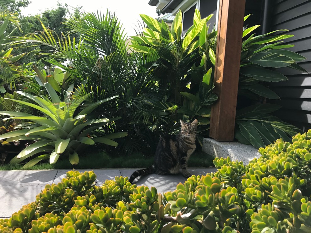 Indooroopilly Garden Tropical Landscape Brisbane by My Verandah