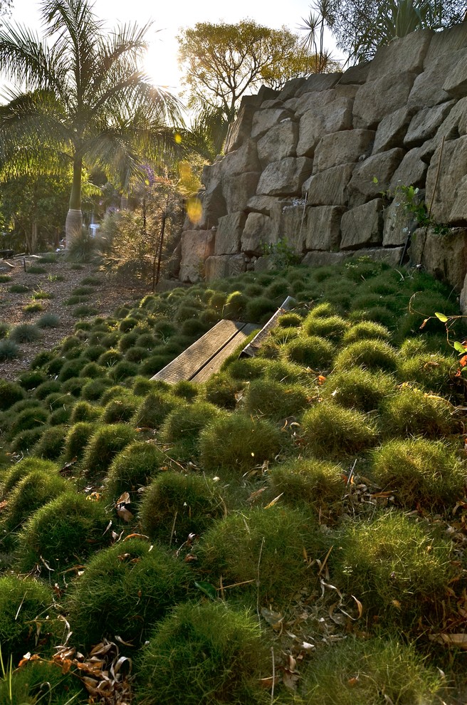 Indooroopilly Garden Contemporary Landscape Brisbane by User