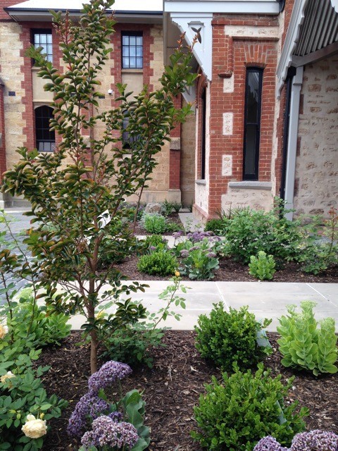 Esempio di un giardino chic esposto in pieno sole di medie dimensioni e davanti casa in primavera con un ingresso o sentiero e pavimentazioni in cemento