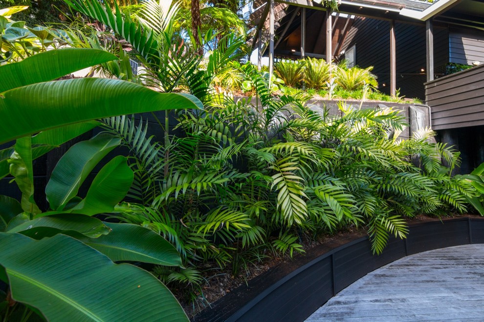 Diseño de jardín tropical de tamaño medio en ladera con jardín francés, privacidad, exposición parcial al sol y entablado