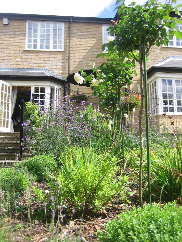 Стильный дизайн: большой регулярный сад на заднем дворе в классическом стиле с садовой дорожкой или калиткой и покрытием из гравия - последний тренд