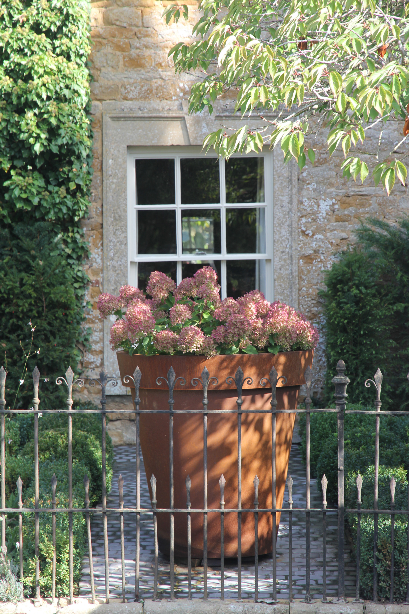 why you should choose large plant pots for a small garden | houzz uk
