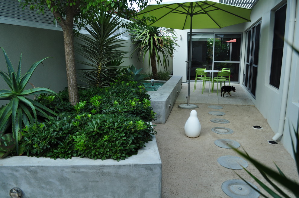 Diseño de jardín contemporáneo pequeño en patio con fuente