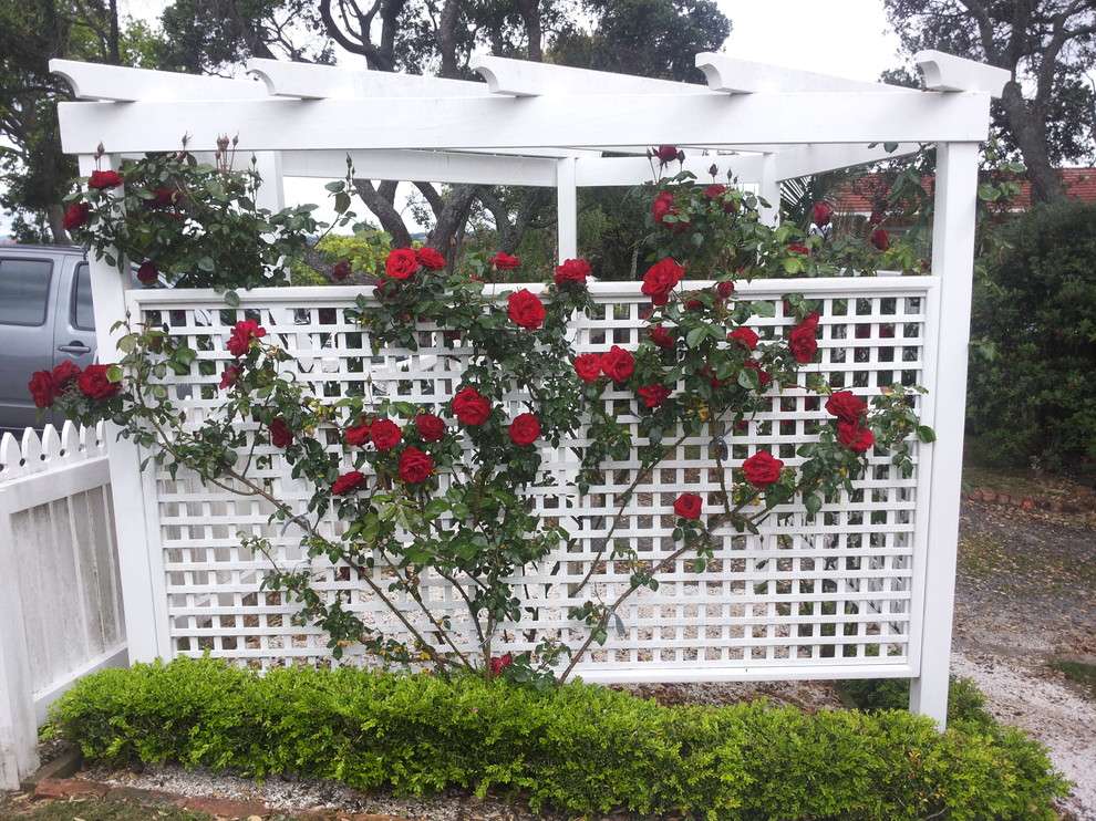 Идея дизайна: солнечный, весенний регулярный сад среднего размера на боковом дворе в викторианском стиле с садовой дорожкой или калиткой и хорошей освещенностью