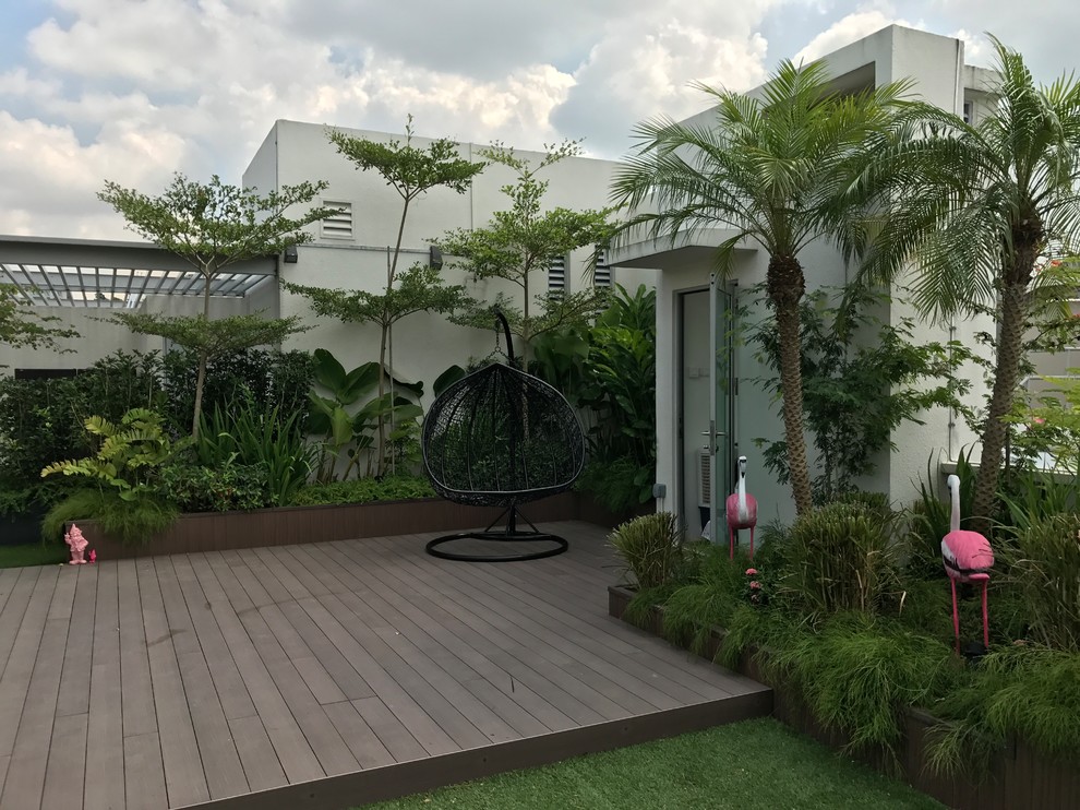 シンガポールにあるコンテンポラリースタイルのおしゃれな庭の写真