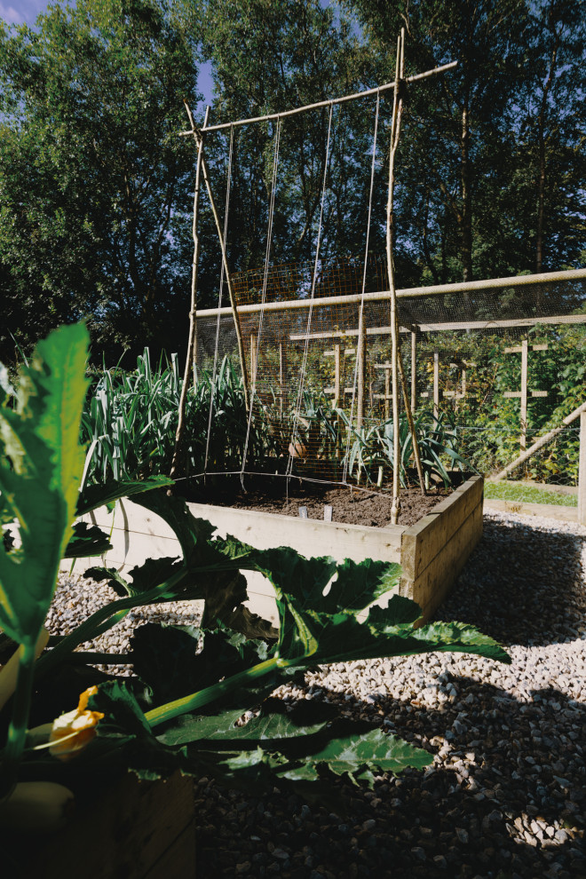 Idée de décoration pour un jardin surélevé arrière tradition de taille moyenne et l'été avec une exposition partiellement ombragée.