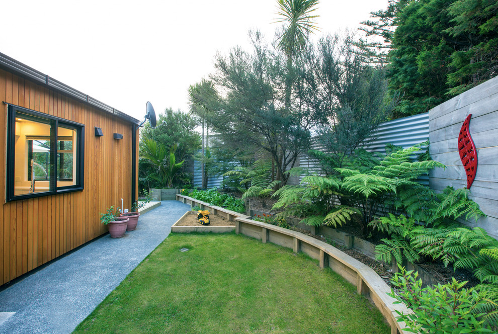 Kleiner, Halbschattiger Moderner Garten im Sommer, neben dem Haus mit Kübelpflanzen und Betonboden in Auckland