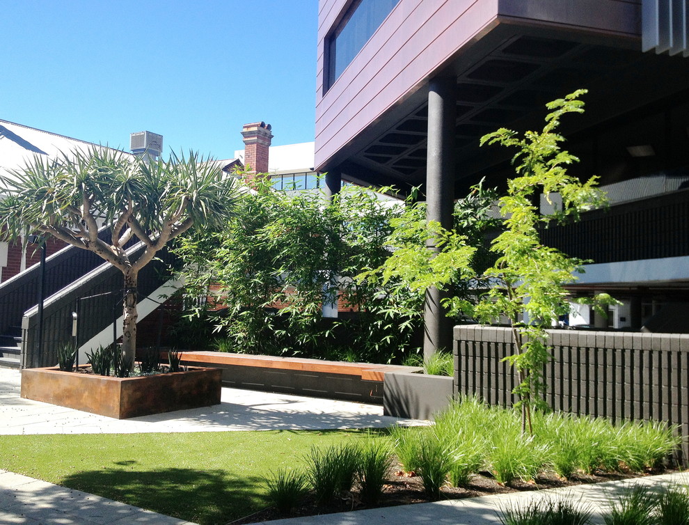 Moderner Garten in Perth
