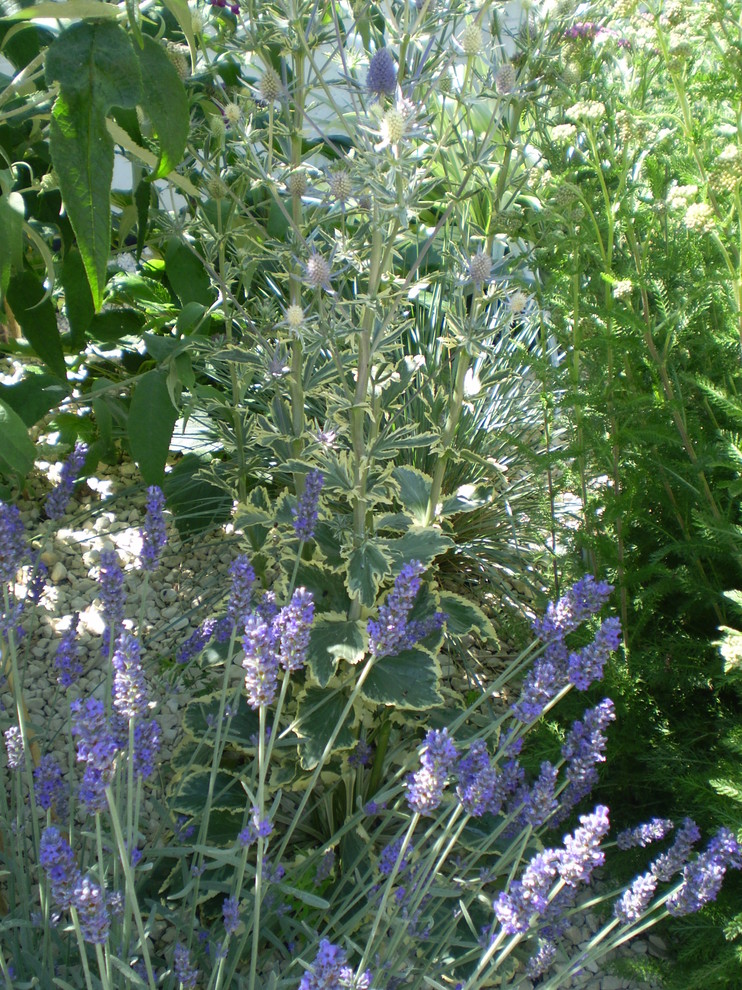 Imagen de jardín mediterráneo de tamaño medio en verano en patio trasero con brasero, exposición parcial al sol y gravilla