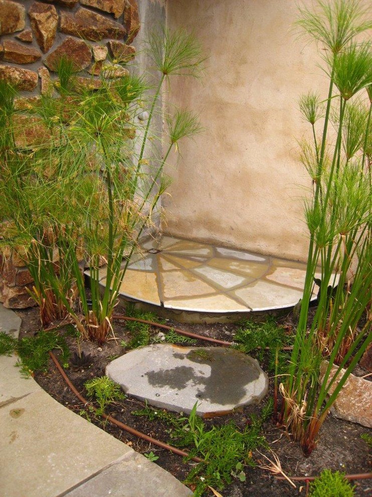 Imagen de jardín contemporáneo en patio