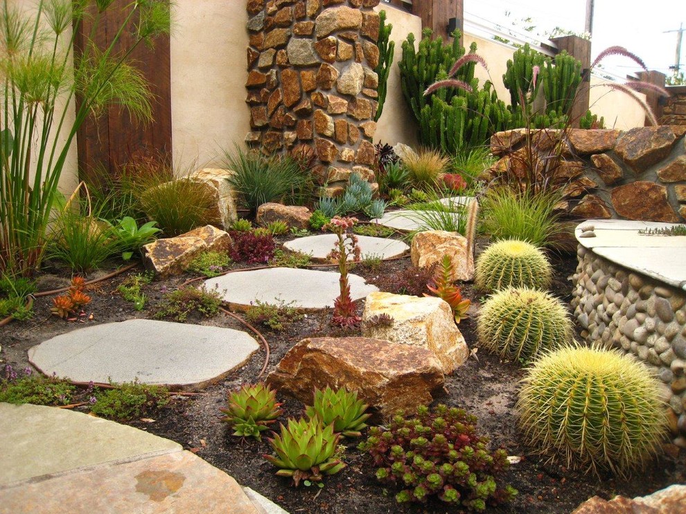 Ejemplo de jardín de secano contemporáneo con exposición total al sol