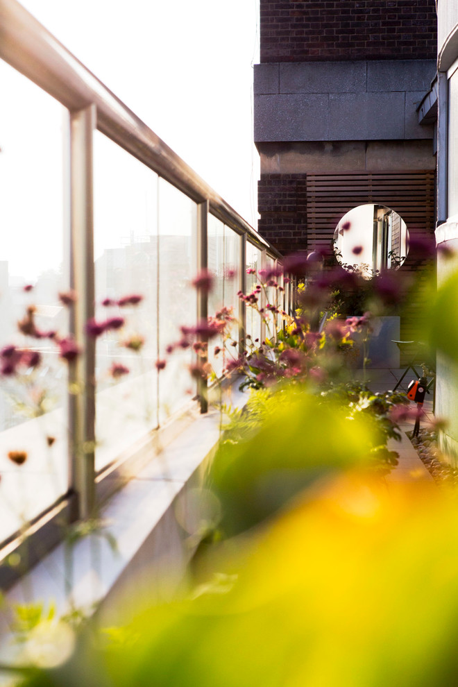 ロンドンにあるラグジュアリーな広いモダンスタイルのおしゃれな屋上庭園 (日向) の写真