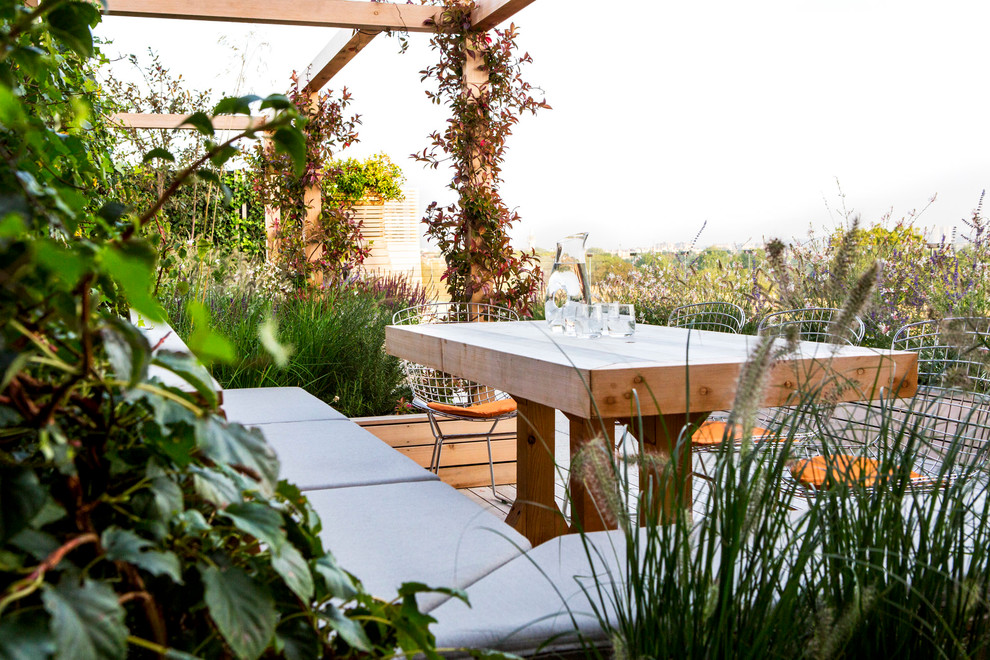 This is an example of a large modern full sun rooftop landscaping in London.