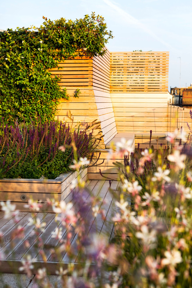 Ejemplo de jardín moderno grande en azotea con exposición total al sol
