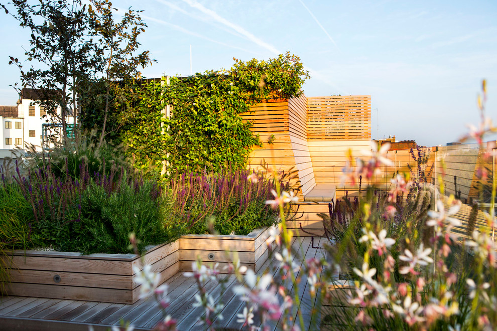 Cette photo montre un grand jardin sur toit moderne avec une exposition ensoleillée.
