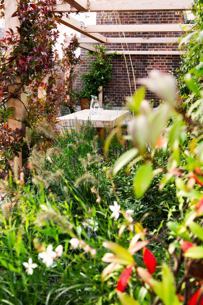 Imagen de jardín minimalista grande en azotea con exposición total al sol