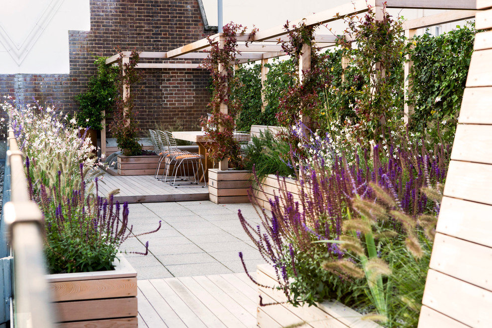 Cette image montre un grand jardin sur toit minimaliste avec une exposition ensoleillée.