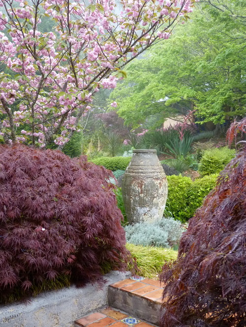 欧米でも人気 美しい紅葉を楽しめる 日本のカエデ11種 Houzz ハウズ