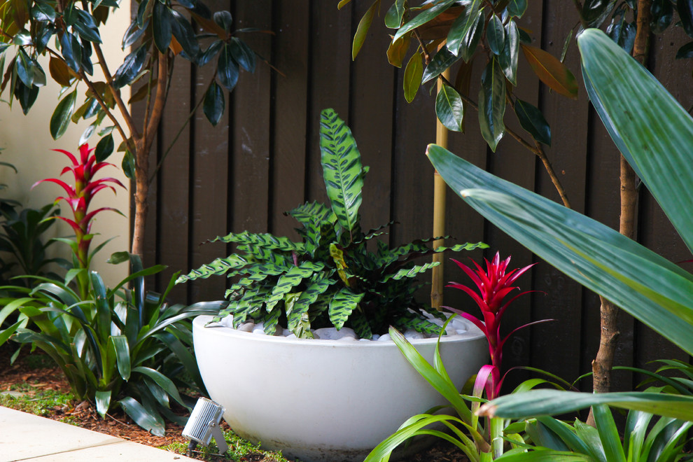 Bild på en liten tropisk trädgård i skuggan, med naturstensplattor