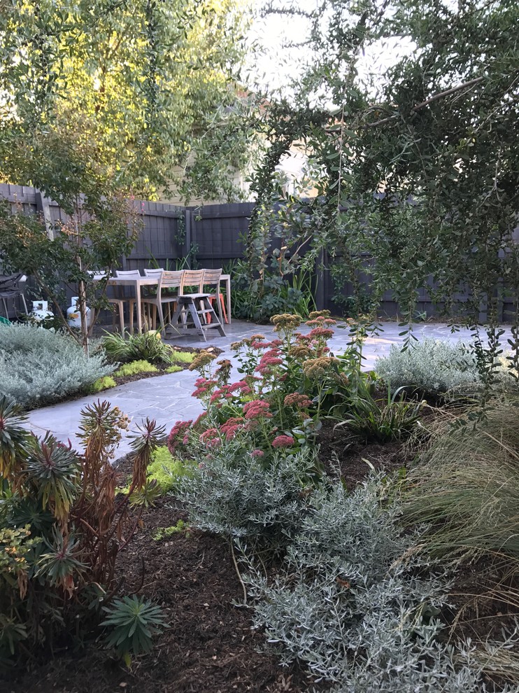 Le jardin de rue O'Farrell Landscape Melbourne by Caroline Hyett