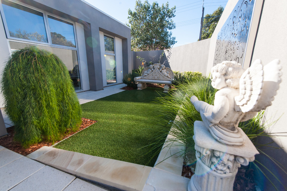 Photo of a small contemporary backyard formal garden in Adelaide.